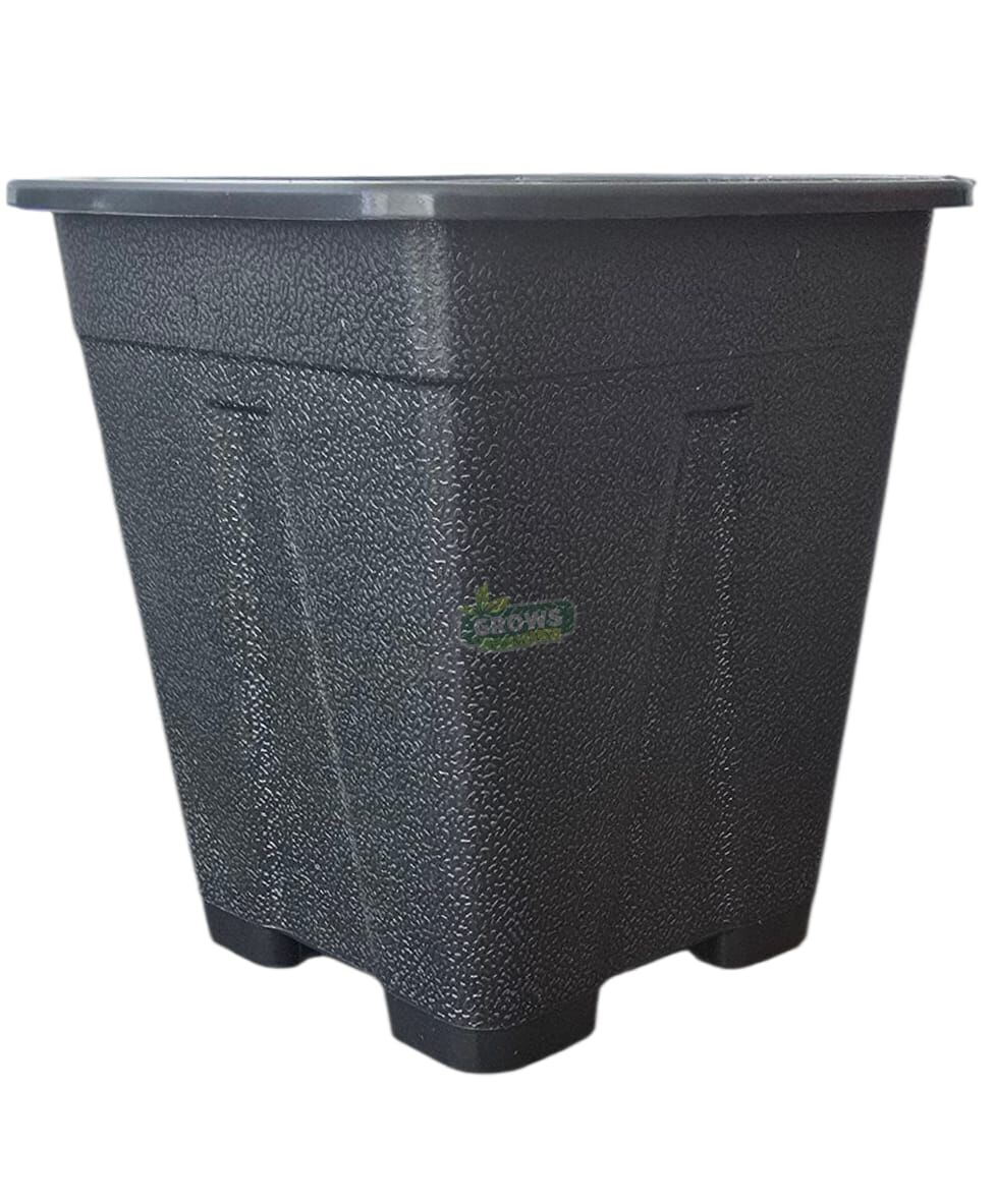 Kare Saksı 0,33 Lt. 10 adet