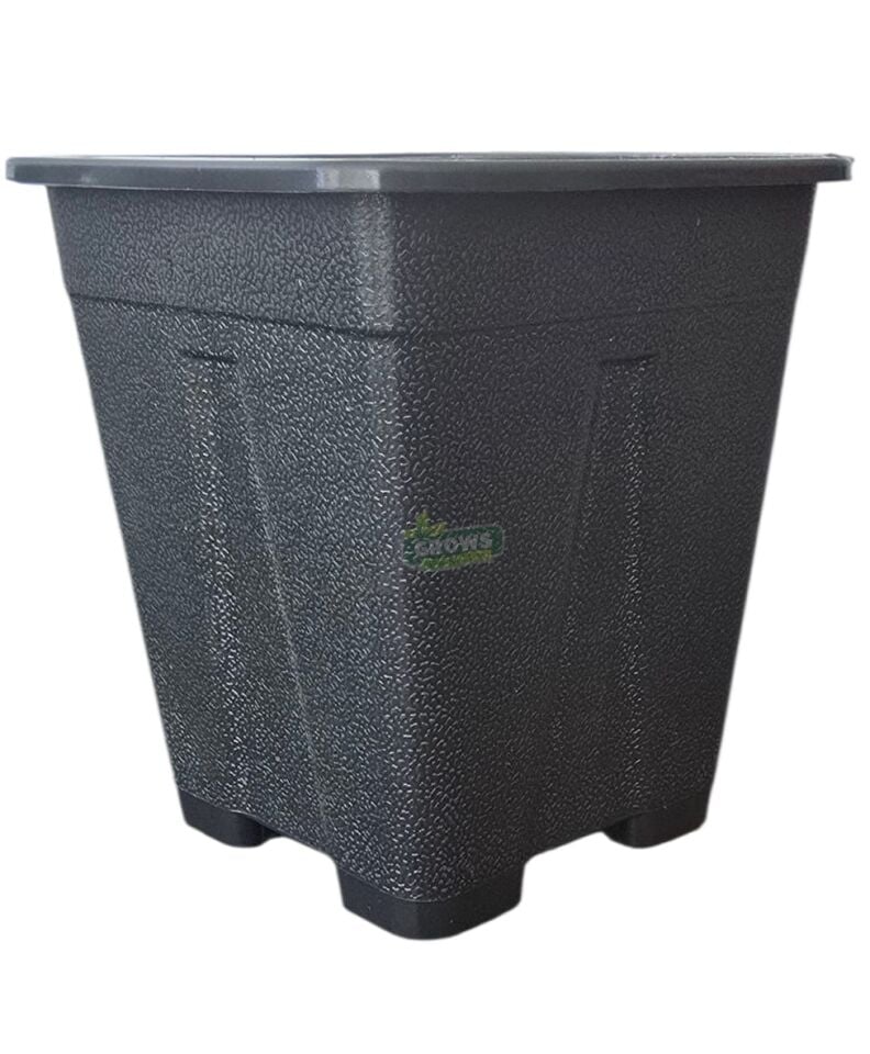 Kare Saksı 0,33 ml 100 adet