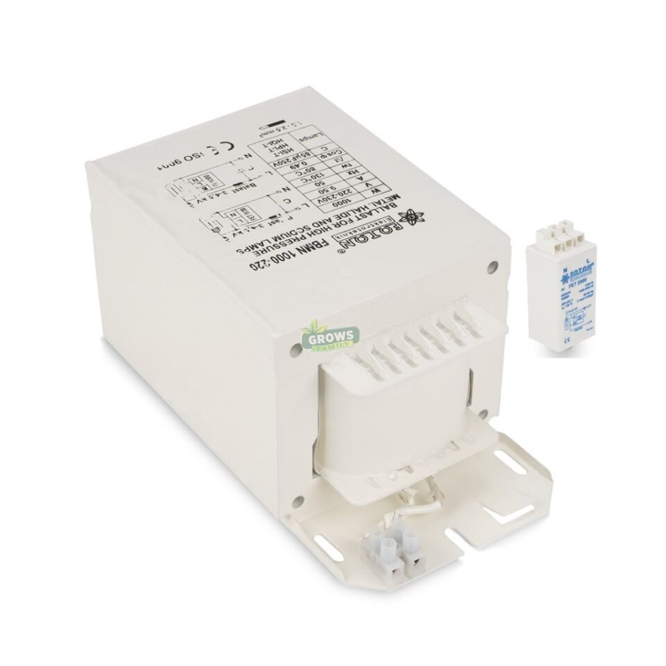 1000w Foton Balast Kit