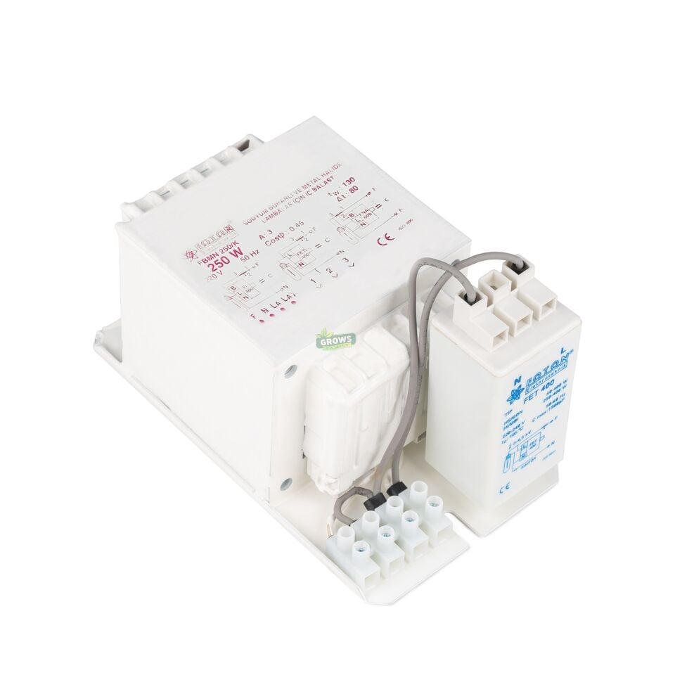 250w Foton Balast Kit