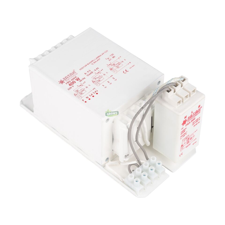 400w Foton Balast Kit