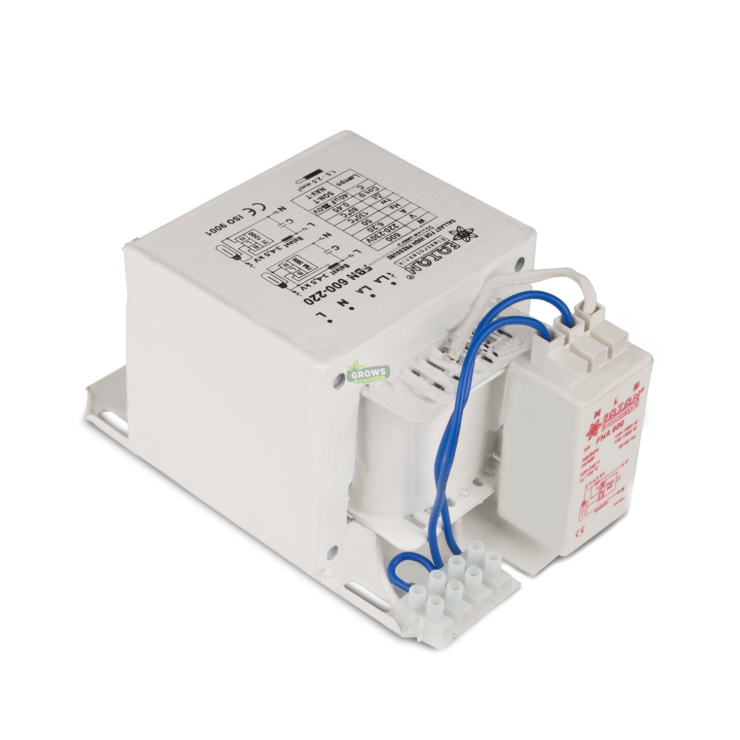 600w Foton Balast Kit