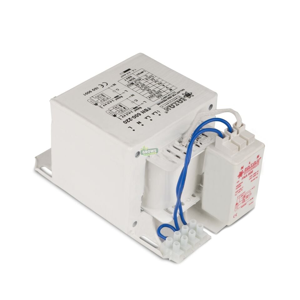 600w Foton Balast Kit