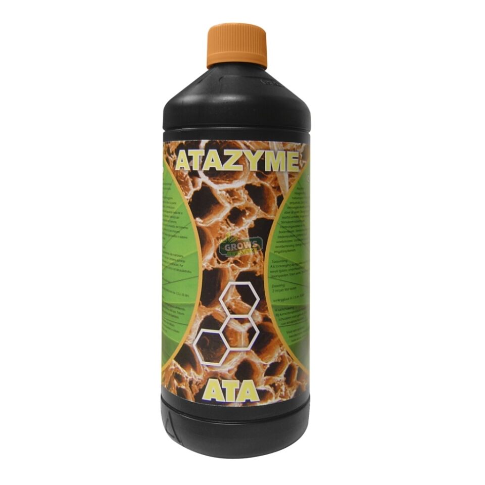 Atami Atazyme 1 Litre
