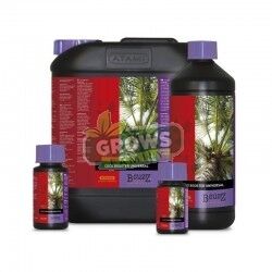 Atami Booster Coco Universal 1 Litre