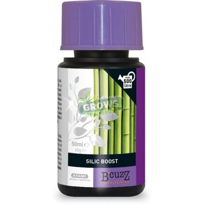 Atami Silic Boost 50 ml