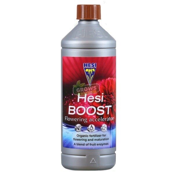 Hesi Boost 2.5 litre