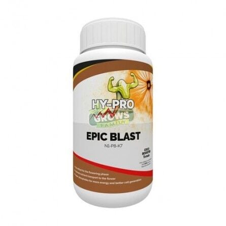 HY PRO EPİC BLAST 500 ML